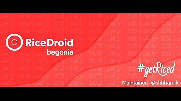 How to flash riceDroid Android 13 build for Redmi Note 8 pro(Begonia) #redminote8pro 🔥
