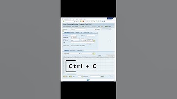 Select and Copy Information in SAP GUI #shorts #sap #sapgui #copy #tips