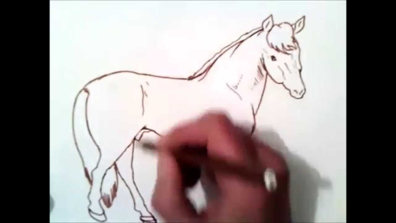 Tutorial avançado de como desenhar um cavalo - Geral - L2JBrasil