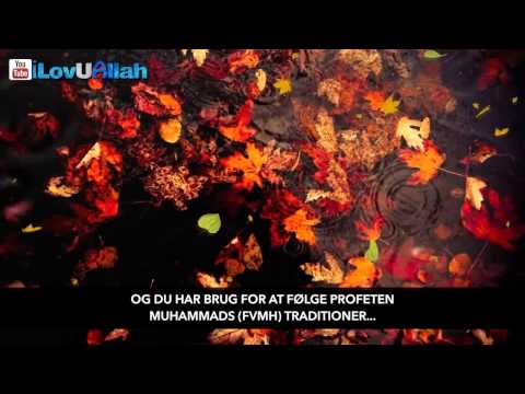 SÃ¥dan bliver du venner med Allah - Mufti Ismail Menk SÃ¥dan bliver du venner med Allah - Mufti Ismail Menk