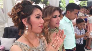 Самаркандская свадьба. 2016 Samarkand 2016 Wending day J&N part1 Самаркандская свадьба. 2016 Samarkand 2016 Wending day J&N part1