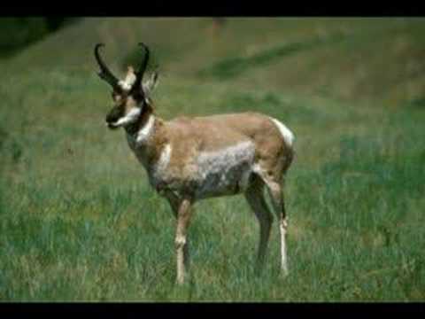 What's wrong with today's gospel Pt 3 (Eternal Sec...