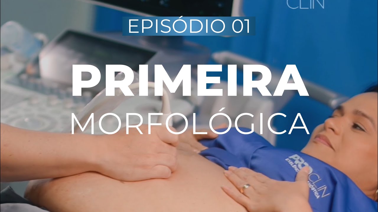PRIMEIRA MORFOLÓGICA (ultrassom morfológica de primeiro trimestre ...