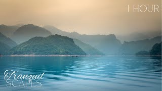 1 Hour Meditation Harmony: Deep Relaxation and Mindfulness Music for Serenity