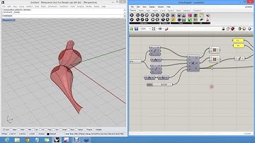 07   Lofting Multiple Curves in GH