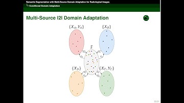 Semantic Segmentation with Multi-Source Domain Adaptation for Radiological Images - WTD 2021
