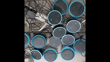 Alexa farts on multiple echos