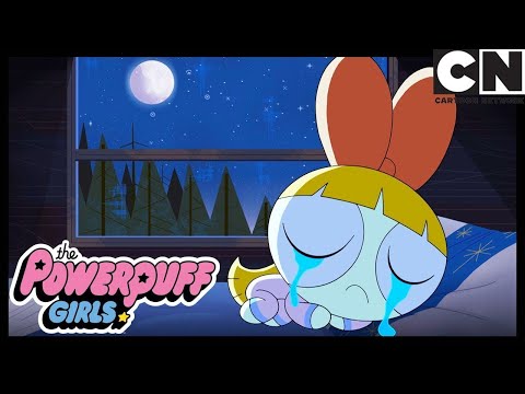 LONELY BLOSSOM | Powerpuff Girls Cartoon Network