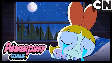 LONELY BLOSSOM | Powerpuff Girls Cartoon Network