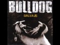Bulldog - Por Volver