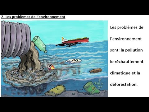 La Science De L’Environnement Est-Elle Un Bon Choix De Carrière