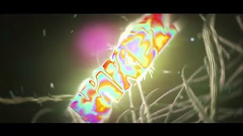 N1kez Personal Sync intro