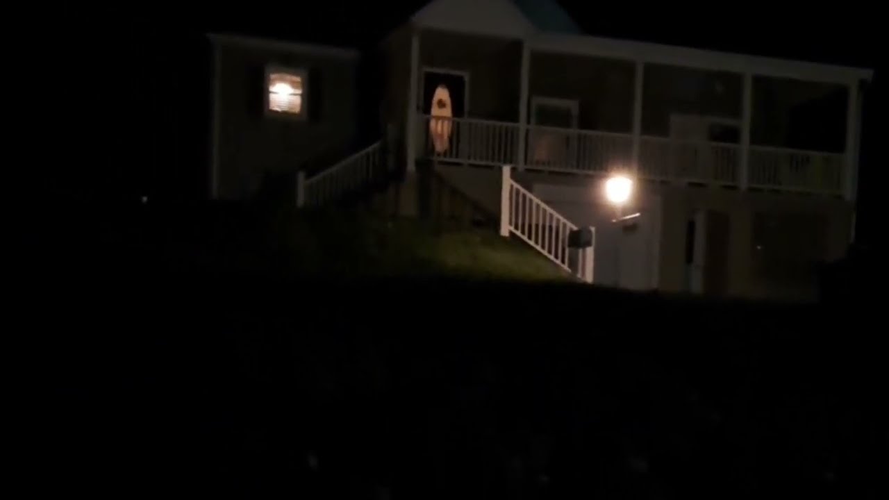 Red Fox Scream At Night