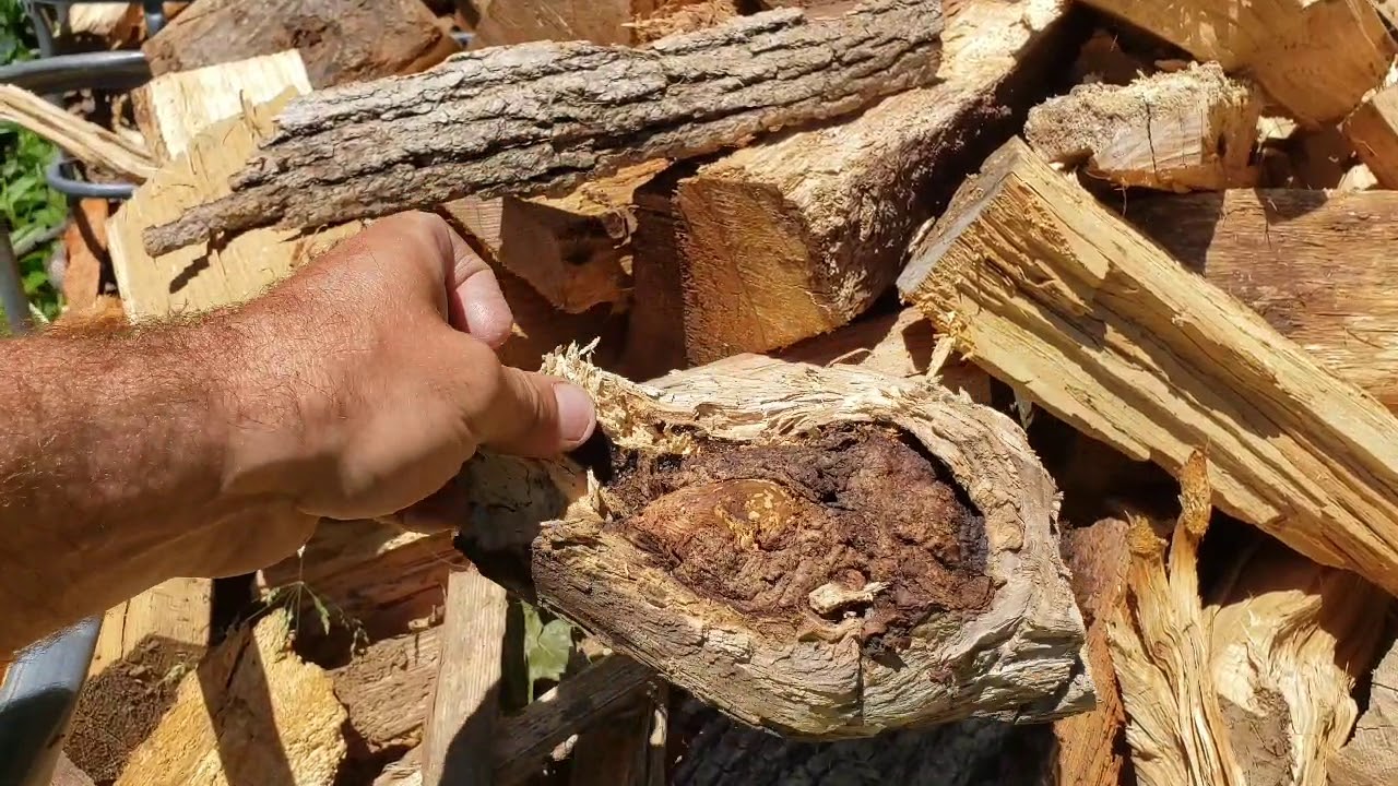 Wood for dayz YouTube