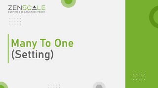 Many To One (Setting) | Zenscale