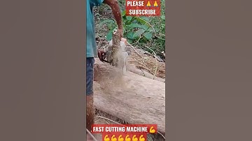 Fast cutting machine, stihl ms 382, wood cutting machine, viral video #shorts #viral #sawmill #fail