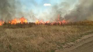 Пожар в селе Вознесенка (Мелитопольский район) 18.07.19