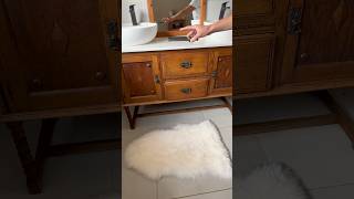 19 Different Colors, 3 Different Types Of Sheepskins Available On Www.hideskin.co.za