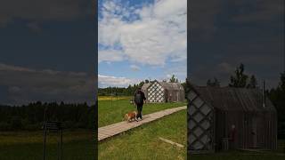 Необычный домик #asmr  #asmrvideo #travel #обзор #vlog #vlogs #shorts #природа #nature #creative
