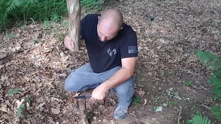 Hoffman Richter Wolf Fixed Blade Quality On  Budget!?