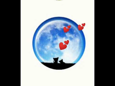 美猫女子🎀♀の風磨小太郎🐾 美猫女子🎀♀の風磨小太郎🐾