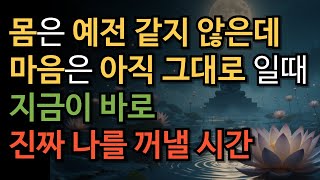 몸은 예전 같지 않은데, 마음은 아직 그때 그대로입니다 – 나이 듦을 자비롭게 바라보는 부처님 말씀  #부처님말씀 #시니어공감#마음수행 #나이듦 #몸과마음 #자비의지혜