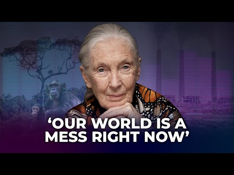 China’s place in the climate crisis fight | Jane Goodall on Talking Post with Yonden Lhatoo