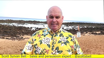 Getting fired in sales - Lack of sales performance (1 of 6) Scott Sylvan Bell