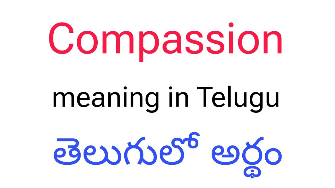 Compassion Meaning In Telugu Compassion Compassion compassion-meaning-in-telugu-compassion-compassion