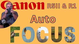Canon R5 Mk. II and Canon R1 Auto Focus Behavior screenshot 4