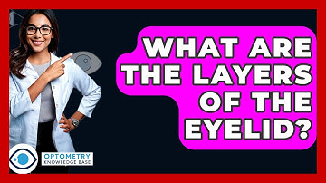 What Are The Layers Of The Eyelid? - Optometry Knowledge Base