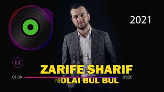 Зарифи Шариф-Нолаи булбул 2021 Zarifi Sharif-Nolai bulbul 2021