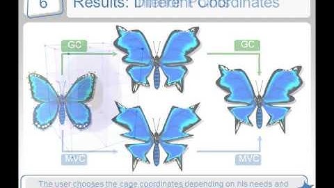 *Cages: A multi-level, multi-cage based system for mesh deformation