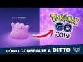 LOS 10 POKEMON DONDE SE ESCONDE DITTO EN 2019 POKEMON GO [LIOGAMES]