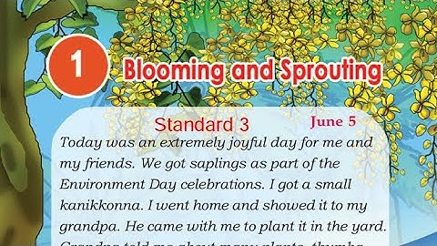 Standard 3 EVS Blooming and Sprouting