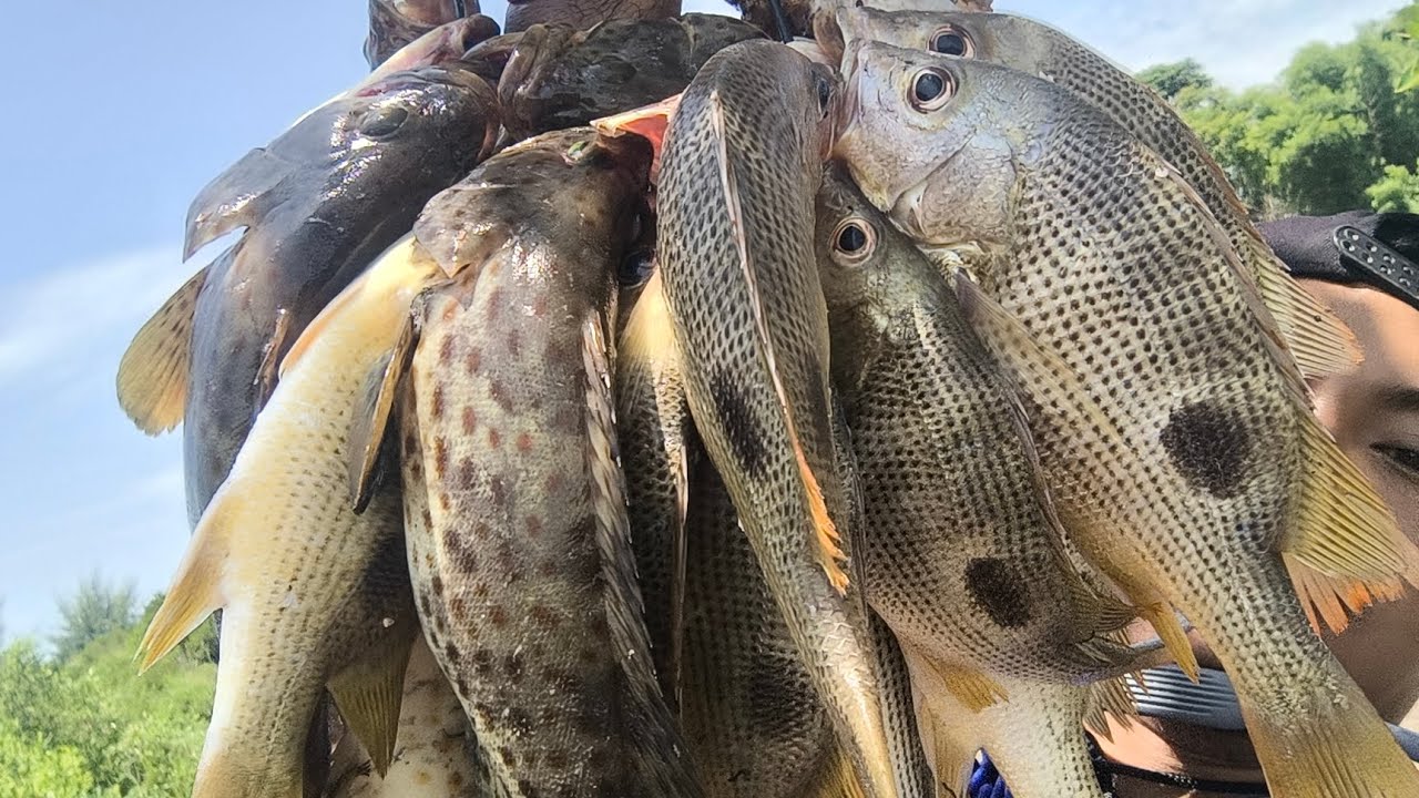 Part #2 Ombak besar ikan besar #fishing 