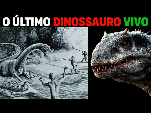 Mokele-Mbembe: A Busca Por Um Dinossauro Vivo - 2023