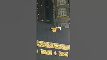 Mizab E Rehmat Subhanallah L Kabah Shorts Youtubeshorts Viral 