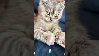 Charlies Art Studio Journaling Creative Inspiration