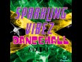 Jamaica sparkling vibez dancehall