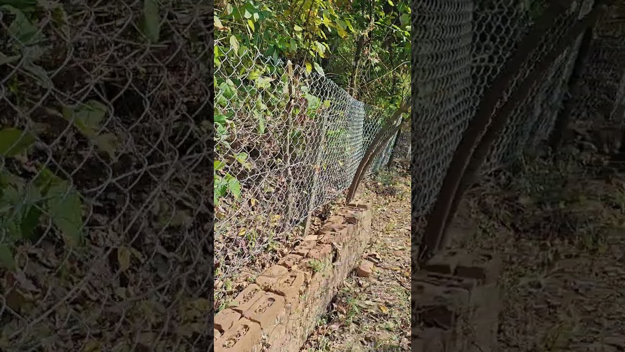 Sitabani wildlife reserve | The northern boundary - B |