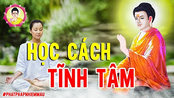 Người càng tĩnh tâm thì trí tuệ càng cao và tầm nhìn càng xa - Phật Pháp Nhiệm Mầu