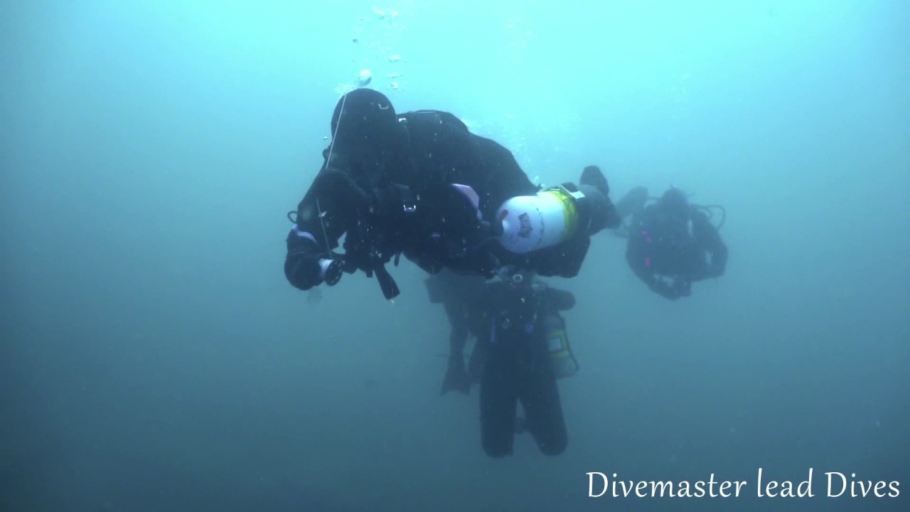 Boat Dive Trips in Sydney Australia | Genuine PADI