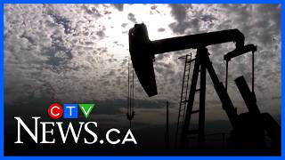 Alberta carbon capture project update