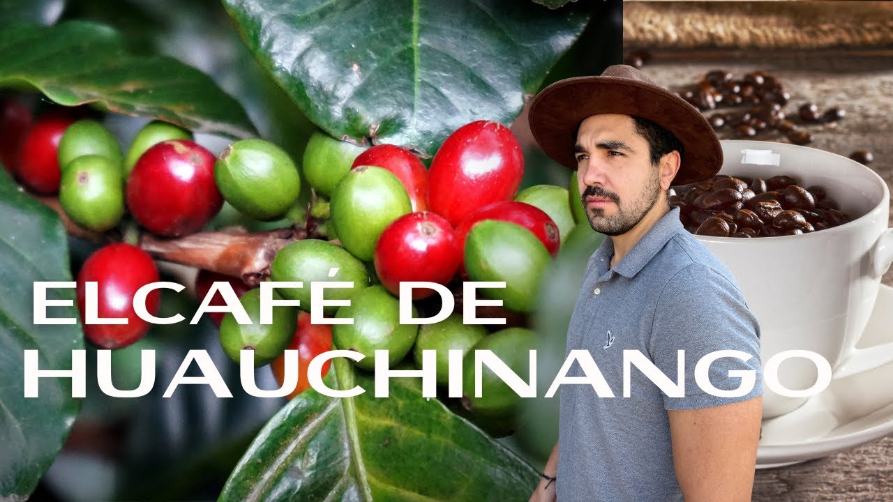 Bioruta del Café en Puebla, el Pueblo Mágico de Huauchinango #1