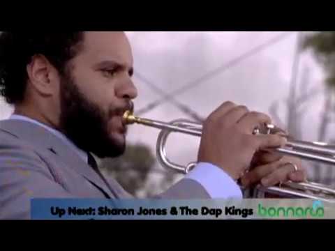 Sharon Jones & The Dap-Kings - Live at Bonnaroo 2008