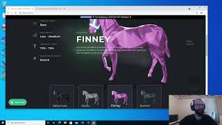 ZedRun data collection and SQL database tutorial