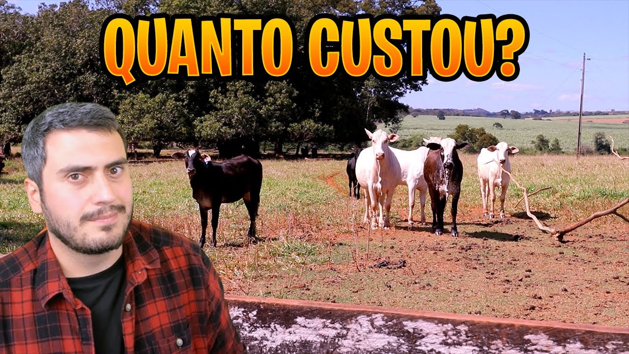 REVELANDO TODA A VERDADE SOBRE A MINHA FAZENDA YouTube REVELANDO TODA A VERDADE SOBRE A MINHA FAZENDA YouTube