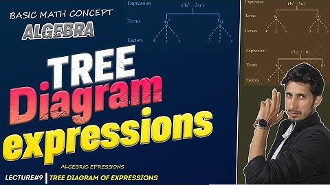 Algebraic Expressions  | Tree Diagram | explained | NCERT Math Basic