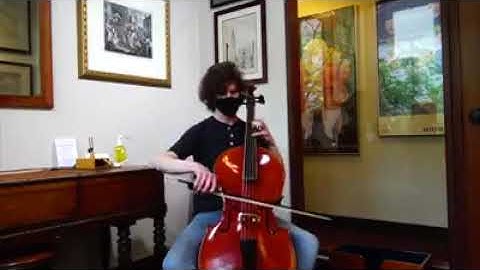 Jay Haide 5 String Violoncello Piccolo set up by Andrew Dipper